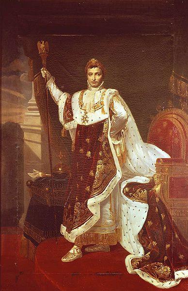 Robert Lefevre Portrait of Napoleon I in Coronation Robes oil painting image